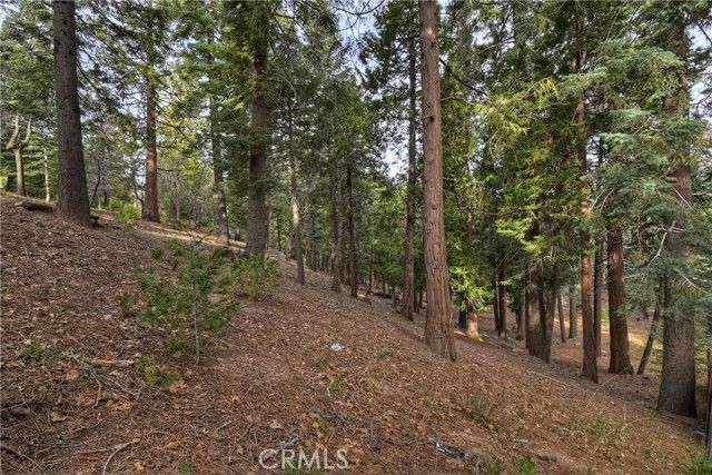 696 Rose Lane, Twin Peaks, CA 92391