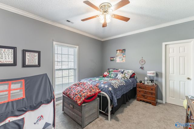 173 Forest Home Drive, Trinity, AL 35673