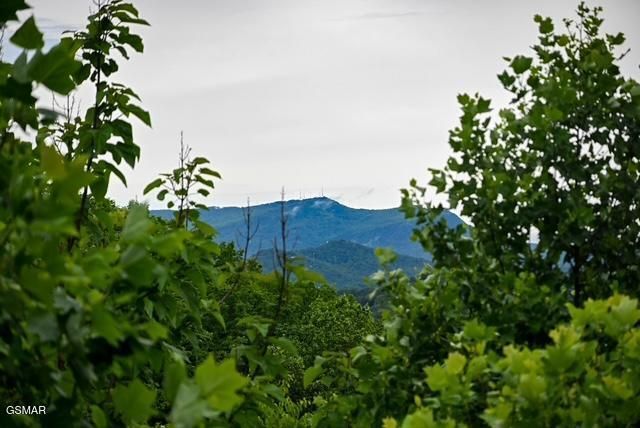 1816 N Dogwood Lane, Sevierville, TN 37876