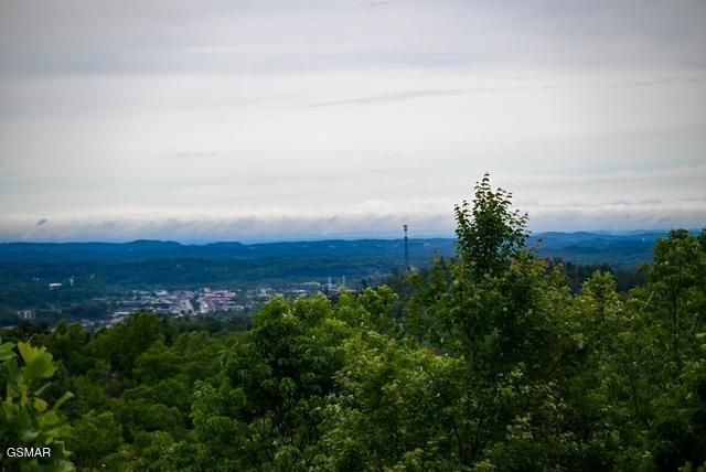 1816 N Dogwood Lane, Sevierville, TN 37876