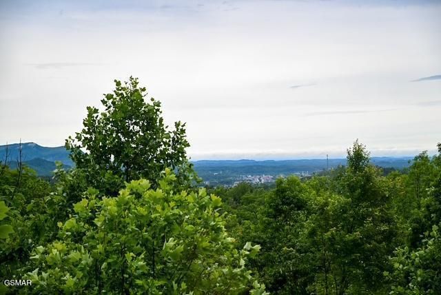 1816 N Dogwood Lane, Sevierville, TN 37876
