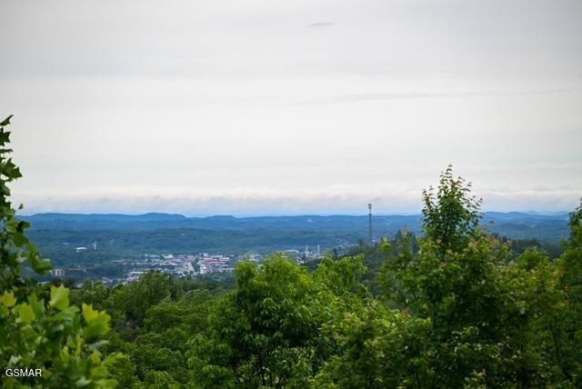 1816 N Dogwood Lane, Sevierville, TN 37876