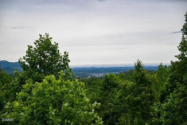 1816 N Dogwood Lane, Sevierville, TN 37876