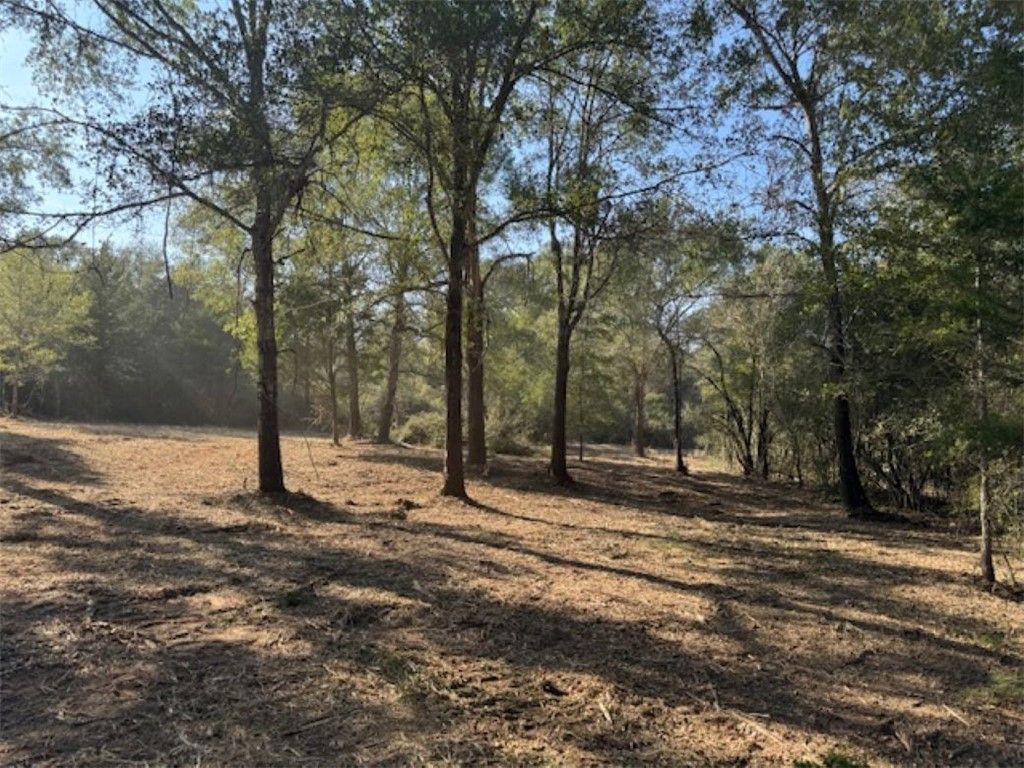 TBD Sweed Road, Washington, TX 77880 — photo 2