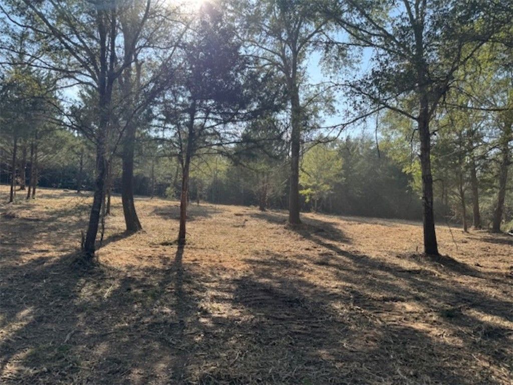 TBD Sweed Road, Washington, TX 77880 — photo 3