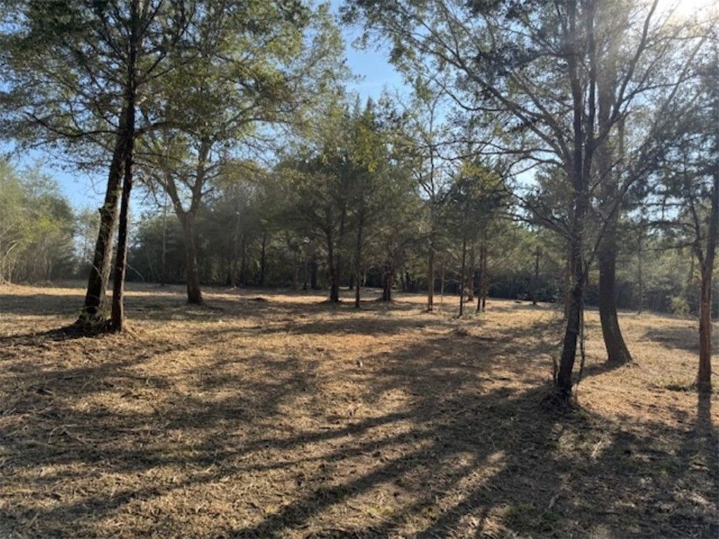 TBD Sweed Road, Washington, TX 77880 — photo 4