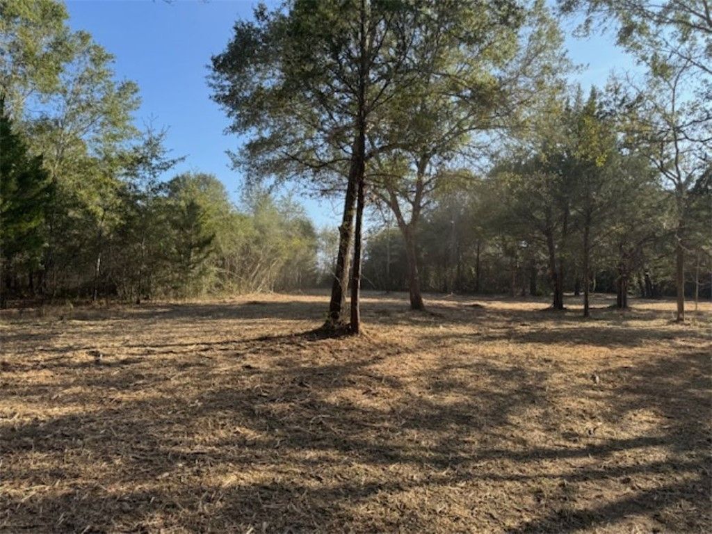 TBD Sweed Road, Washington, TX 77880 — photo 5
