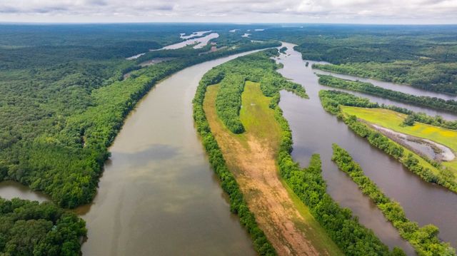 554 Hickman Shores Rd, Dover, TN 37058