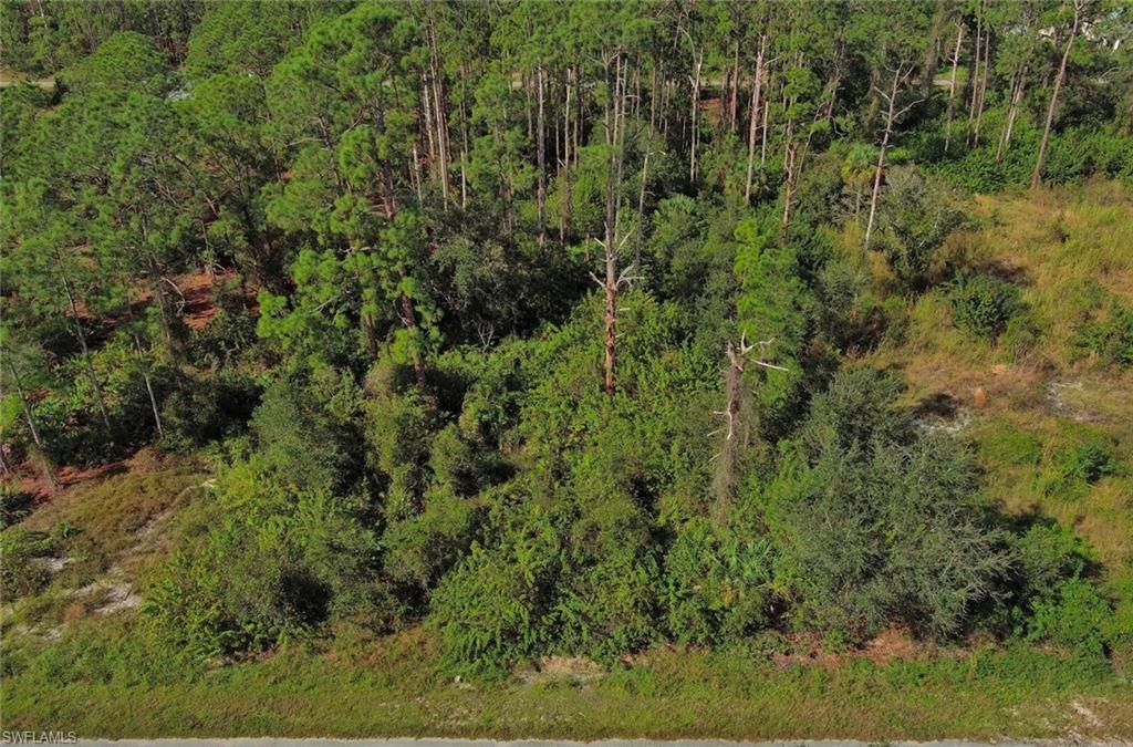 1515 Glenn AVE, LEHIGH ACRES, FL 33972 — photo 3