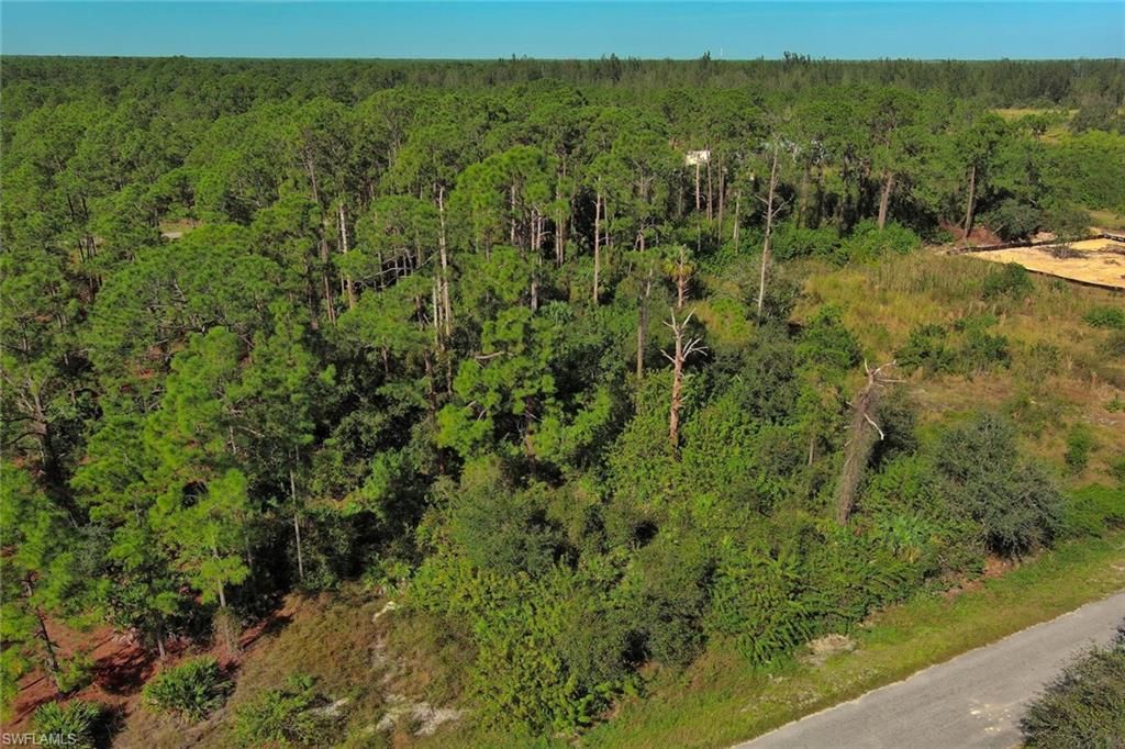 1515 Glenn AVE, LEHIGH ACRES, FL 33972 — photo 5