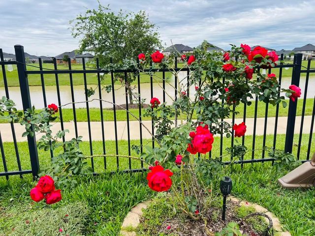 29602 Stanley Canyon Lane, Katy, TX 77494