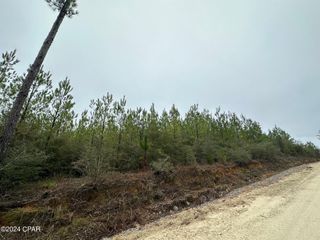 Tract 6418 N Mattox Springs Road, 1, Caryville, FL 32427