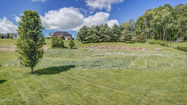 17500 Bridle Drive, Abingdon, VA 24210