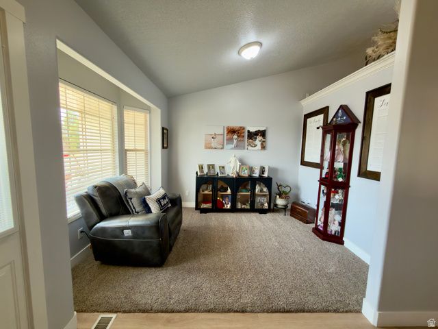717 S 1100 E, Pleasant Grove, UT 84062