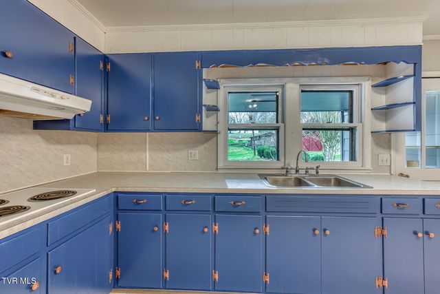 441 Mimosa Street, Mount Carmel, TN 37645