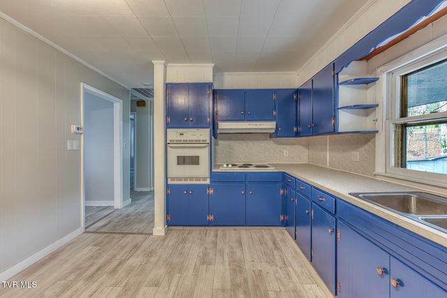 441 Mimosa Street, Mount Carmel, TN 37645