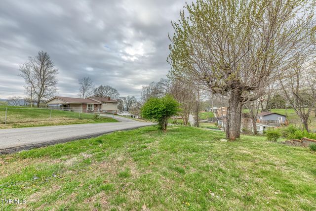 441 Mimosa Street, Mount Carmel, TN 37645