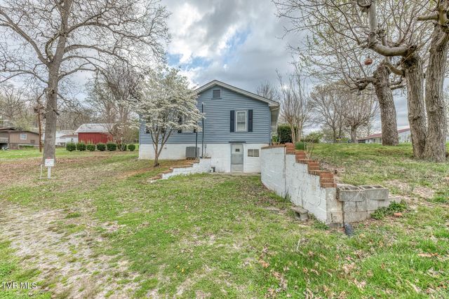 441 Mimosa Street, Mount Carmel, TN 37645