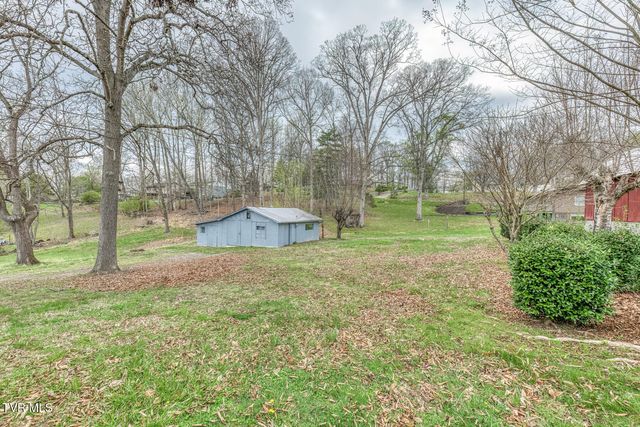 441 Mimosa Street, Mount Carmel, TN 37645