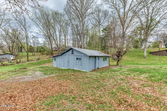 441 Mimosa Street, Mount Carmel, TN 37645