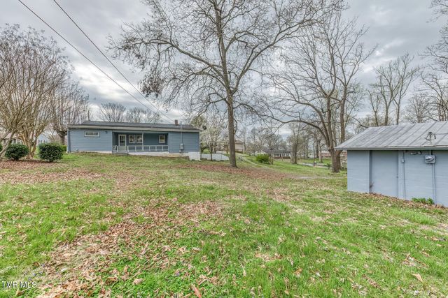 441 Mimosa Street, Mount Carmel, TN 37645