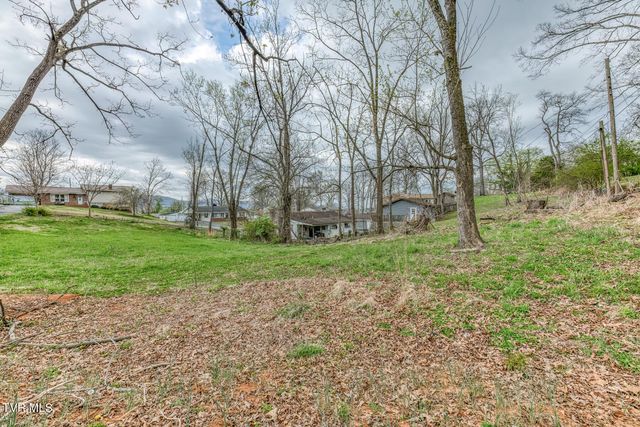 441 Mimosa Street, Mount Carmel, TN 37645