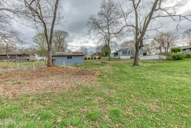 441 Mimosa Street, Mount Carmel, TN 37645