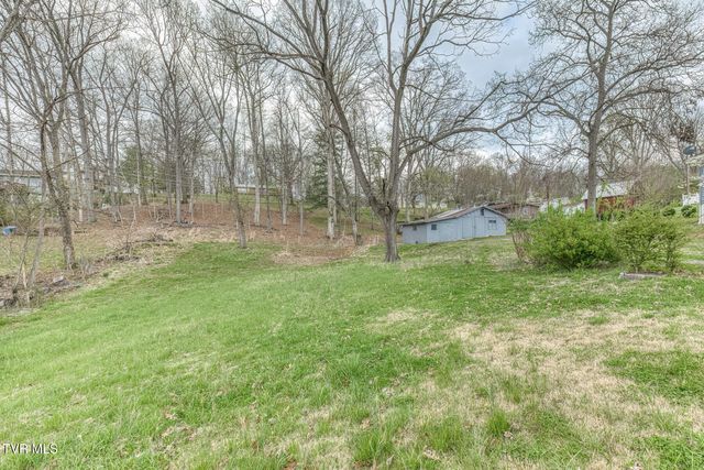 441 Mimosa Street, Mount Carmel, TN 37645