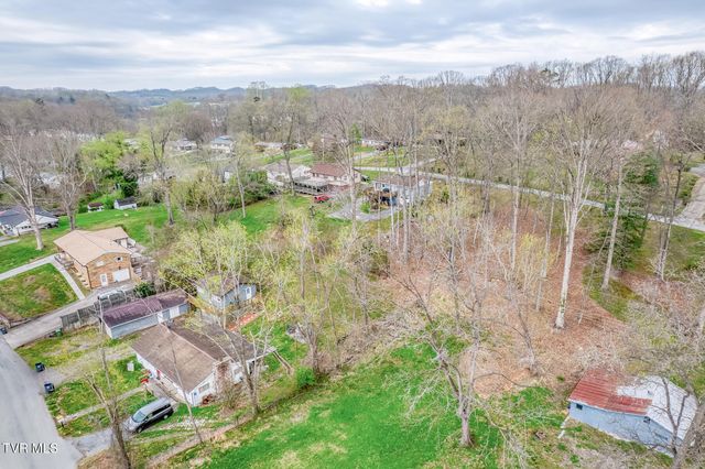 441 Mimosa Street, Mount Carmel, TN 37645