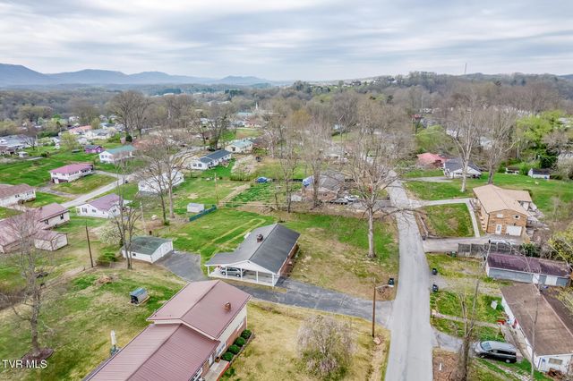 441 Mimosa Street, Mount Carmel, TN 37645