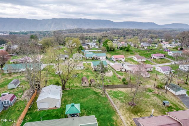 441 Mimosa Street, Mount Carmel, TN 37645