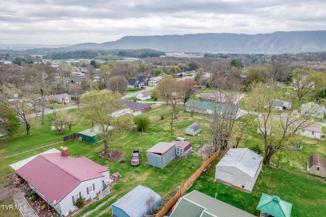 441 Mimosa Street, Mount Carmel, TN 37645