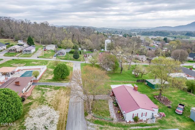 441 Mimosa Street, Mount Carmel, TN 37645