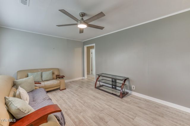 441 Mimosa Street, Mount Carmel, TN 37645