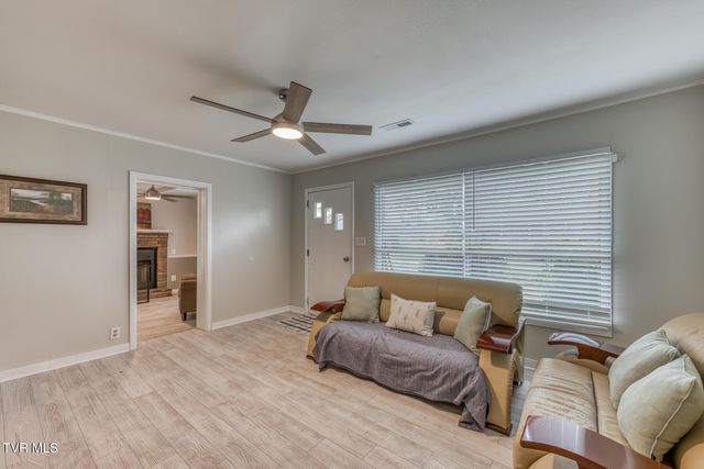 441 Mimosa Street, Mount Carmel, TN 37645