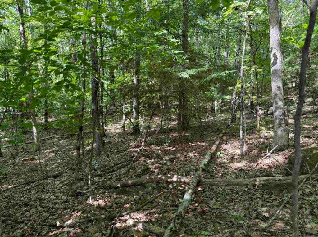 Map 10 Lots 154,155,156 New Hampshire Drive, Webster, NH 03303