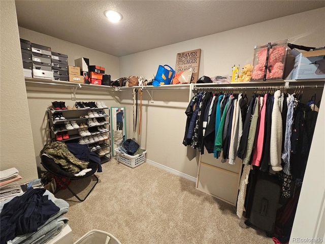 6283 Godwit Lane, Colorado Springs, CO 80925