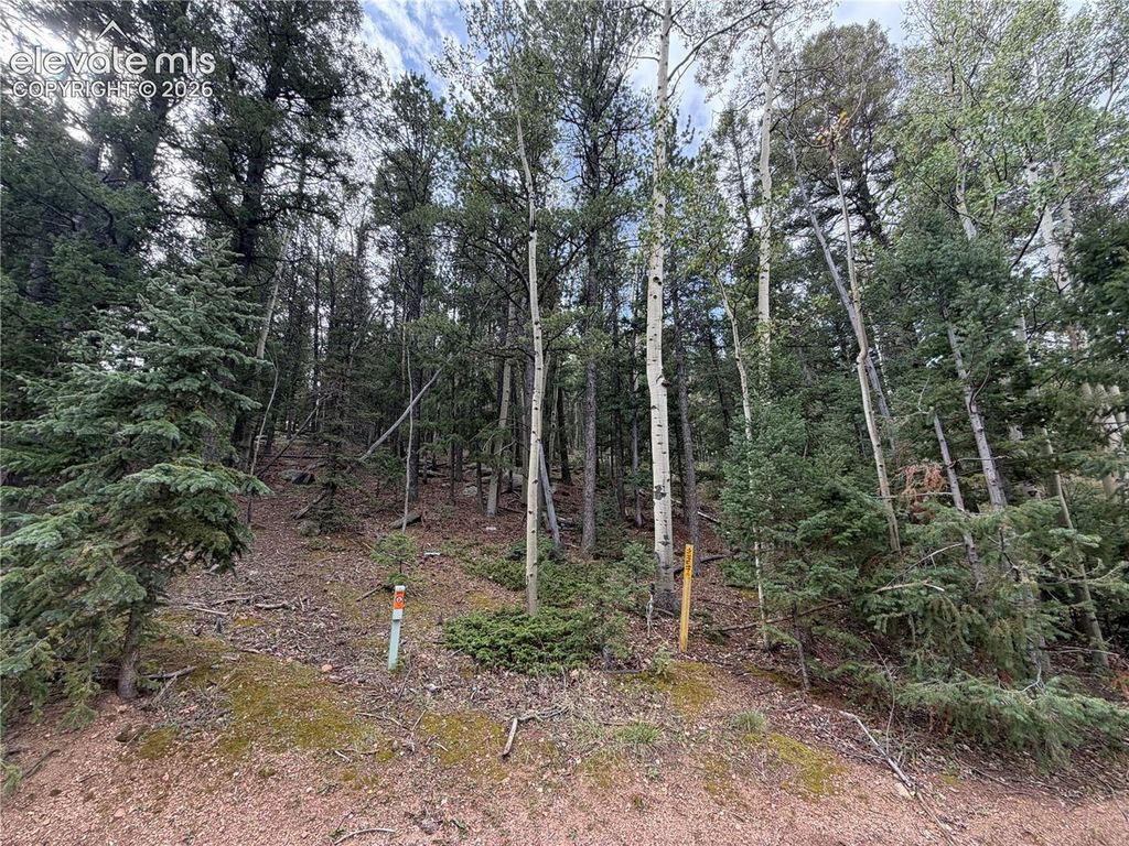 118 Will Stutley Drive, Divide, CO 80814 — exterior