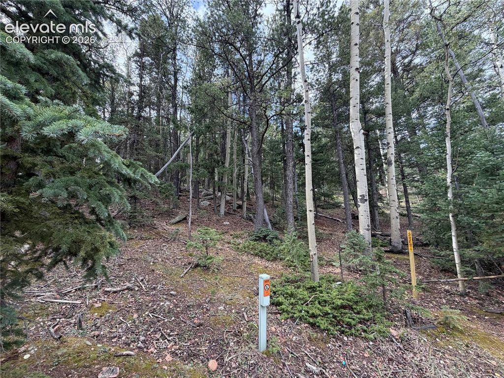 118 Will Stutley Drive, Divide, CO 80814 — photo 2