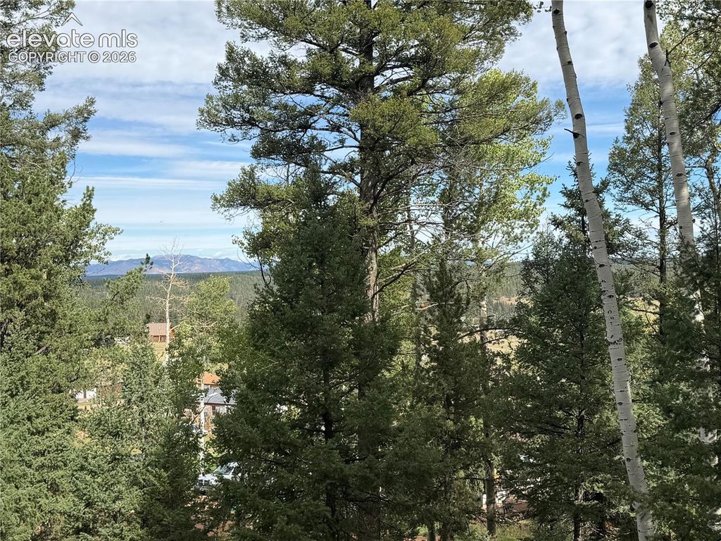 118 Will Stutley Drive, Divide, CO 80814 — photo 4