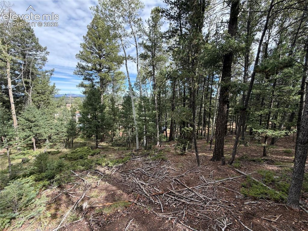 118 Will Stutley Drive, Divide, CO 80814 — photo 5