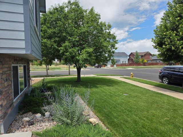 3445 Yule Trail Dr, Fort Collins, CO 80524