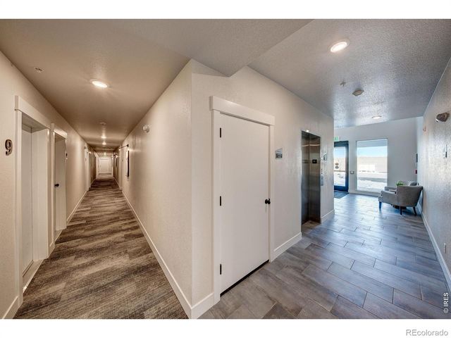 3425 Triano Creek Drive 101, Loveland, CO 80538
