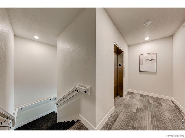 3425 Triano Creek Drive 101, Loveland, CO 80538