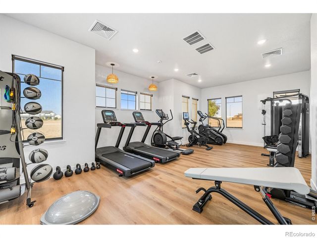 3425 Triano Creek Drive 101, Loveland, CO 80538