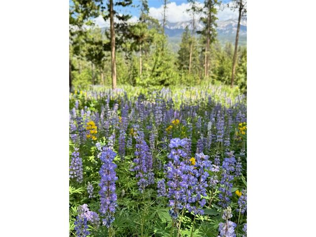 1000 GCR 8304 aka Sunset Dr, Tabernash, CO 80478