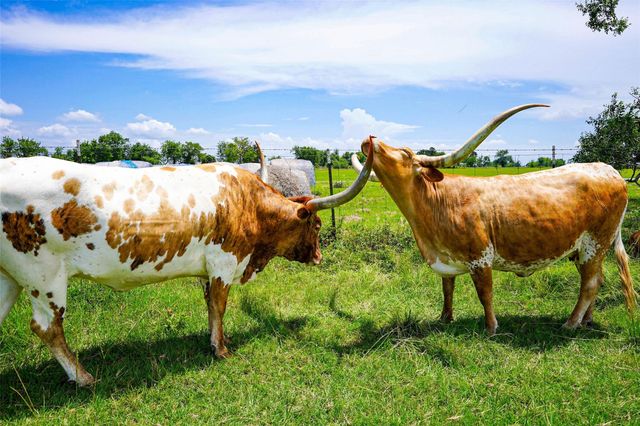 8263 County Road 179, Richards, TX 77873