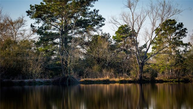 10999 Fm 230, Lovelady, TX 75851