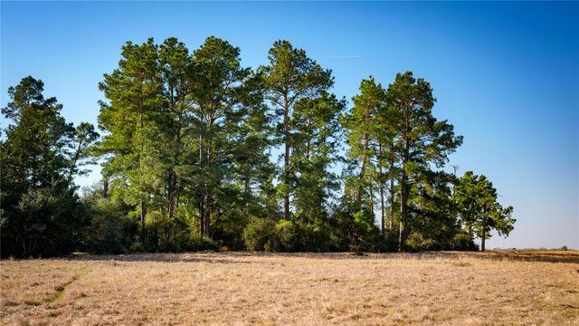 10999 Fm 230, Lovelady, TX 75851