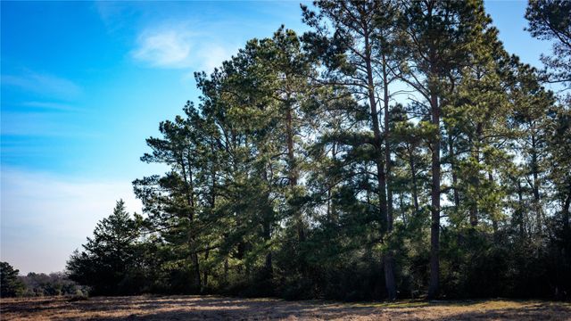 10999 Fm 230, Lovelady, TX 75851